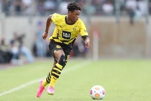 九游体育APP-图片报：俱乐部主席私自泄露杜兰维尔伤情，多特高层对此非常不满